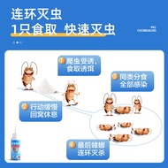 99999.888888 After The Effect Remove Mites Repellent Insect