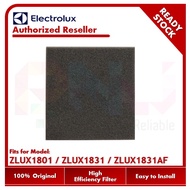 Electrolux Inlet Sponge Filter for ZLUX1801 / ZLUX1831AF