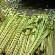 Coconut leaves per strand