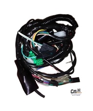 Wire Harness for Kawasaki Fury125 Classic (Old Model / 1st Gen.)