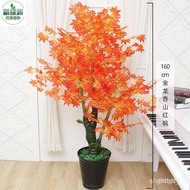 Special Offer💛 Flowers Artificial Maple Tree Bonsai Artificial Plant Living Room Decoration Floor Flower Indoor Fake