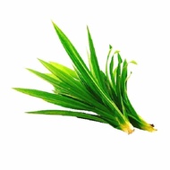 A2 - Daun Pandan / Pandan Leaf