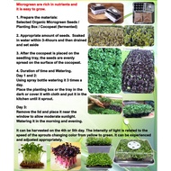 Microgreens Vegetable Seeds (Native Pechay,Green Spinach,Red Spinach,Alfalfa,Radish,Arugula)