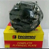 Senso 070 MS-720 TECOMEC ORIGINAL Ignition Coil Stator