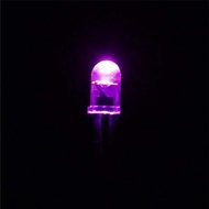 全新 5mm LED 燈粒 發光二極體 紫色 透明燈殼 (只限郵寄)