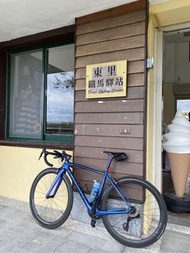 Specialized Tarmac SL5碳纖維公路車
