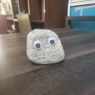 Pet Rock Accessories – Mini Rock Pet with Cozy Home, Cute and Creative Desktop Decoration, Perfect C