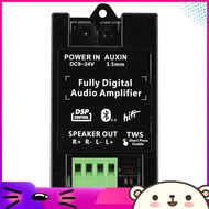wayneAudio Bluetooth Amplifier Bluetooth Audio Amplifier Board for Ceiling Speaker 2.0x 40W Backgrou