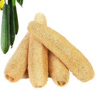 Natural Luffa/Loofah/Sponge Sabut Petola/Unbleached Natural Loofah/Dish Washer/丝瓜络/丝瓜抹布