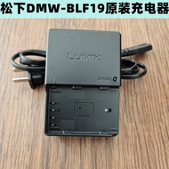 Suitable for Panasonic DMC-GH4 GH3 GH5S G9L Mirrorless Camera Battery DMW-BLF19 Charger BTC10