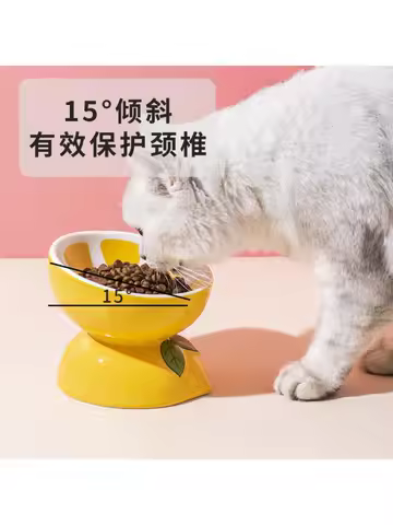 Cat Bowls Ceramic Cats Food Bowl Protect Cervical Spine Oblique Mouth Pet Products Dog Cat Rice Bowl