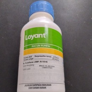 LOYANT racun rumput dalam bendang 500ml