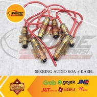 60A Audio Fuse 60A Audio Fuse 60A Car Audio Fuse + CABLE
