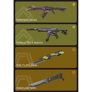 VALORANT ACCOUNT FOR SALE