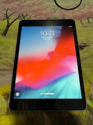 iPad mini 2