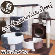 【Fei_fei】อพาร์ทเมนท์แมวใหญ่ ใส่กรงสัตว์เลี้ยงได้ พร้อมส่ง คอนโดแมว 2ชั้น คอนโดแมว ที่ลับเล็บแมว เตียงแมว ของเล่นแมว คอนโดแมว