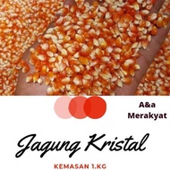 Jagung Kristal Pakan Burung Merpati 1kg