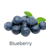 Blueberry fruits fresh