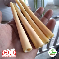 Pipa ROKOK Tulang SRIGADING GEGE