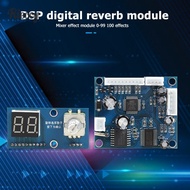 Dsp Modul Board Mixer Suara Digital Dc 5v 100 Jenis Efek Untuk Karaoke