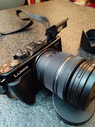 Panasonic Lumix DMC-GX1 Camera