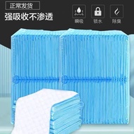 Dog Urine Pad Thickened Deodorizing Absorbent Care Pad Diaper Pet Urine Pad Diaper Urine Pad