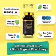 Honey Trigona - 300 Grams - Trigona Raw Honey Belitung Indonesia