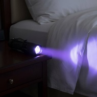 Zoomable Multi Color Flashlight Compact Zoom Flashlight