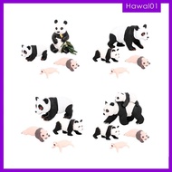 [Hawal] 4Pcs Panda Animal Life Cycle Model,Panda Growth Cycle Figures,Educational Toys,Party Classroom Accessories Kid,Girls