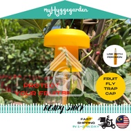 [EFFECTIVE] Fruit Fly Trap Pheromone Yellow Attractant Cover / Penutup Botol Perangkap Lalat Buah Fe