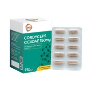 GKB Cordyceps Cicadae 60s| Eye Supplement for Vision