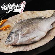 【台灣好漁】國宴指定 貴妃魚(400g/尾)