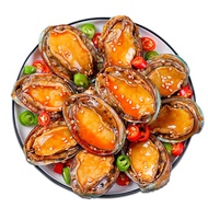 【Huadong store】 a total of two boxes Canned abalone, canned seafood 100g*2 cans