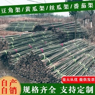 H-Y/ Bamboo Stick Bamboo Pole Vegetable Garden Rack Beans Cucumber Tomato Lattice Fence Fence Flagpole Bamboo Pole Melon