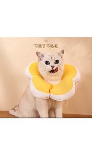 手術 絕育必備 伊利沙伯圈 頸圈 貓頸圈 防咬 防舔 cat cage 貓籠舒適動物頭罩 頭圈頭罩