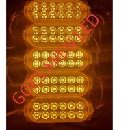 12leds 7w 24volt (10 Seeds)