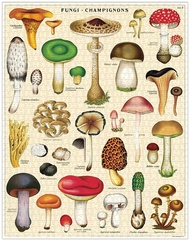 美國 Cavallini 1000片拼圖 / 野菇圖鑑