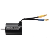 Racerstar 3650 Motor Brushless Waterproof Sensorless