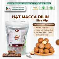 DiLin Hạt Macca Tây Nguyên Cao Cấp Nứt Sẵn Size Vip 28-32mm (Túi zip 500g)