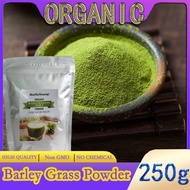 Organic Barley Grass Powder original 250g barley grass official store pure organic barley Chlorophyll &amp; Trace Minerals No Maltodextrin &amp; Sugar