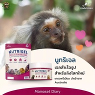 อาหารลิง NutriGel 200 กรัม  เจลลิงโลกใหม่ เหมาะกับมาโมเสท ทามารีน คาปูชิน ลิงกระรอก บุชเบบี้ นำเข้าจ