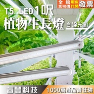 < Ruifeng Technology > LED-1 Feet Grow Light/Plant Seedling/Plant Flowering/Plant Growth Light/Aquar
