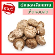 🚚พร้อมส่ง ส่งเร็ว เห็ดหอมสด พร้อมทาน เห็ดหอมสด เห็ดชิตาเกะ 500g /1kg Shiitake Mushroom