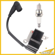 【2026】42834001301 Ignition coil with sparkplug, compatible with BR800 BR800X BR800C