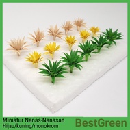 Miniature pineapple tree