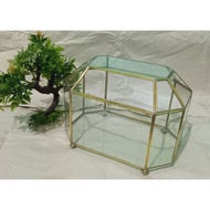 Terrarium BOX 30x20x20