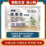 Plant rooting powder Hair rooting powder Naphthalene 12 Hours Explosive rooting powder Lunmossin Flo