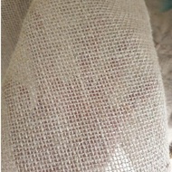CANVAS SHEET