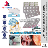 Ubat Ulcer Bengkak & Bisul untuk Kucing dan Anjing | Swollen Ulcer & Boil Treatment for Cats & Dogs 