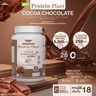 โปรตีนแพลนท์ สูตร 3 รสโกโก้ ช็อกโกแลต (PROTEIN PLANT) 900 กรัม/กระปุก (2 ปอนด์ 2LBS) ทานได้ 18 ครั้ง
